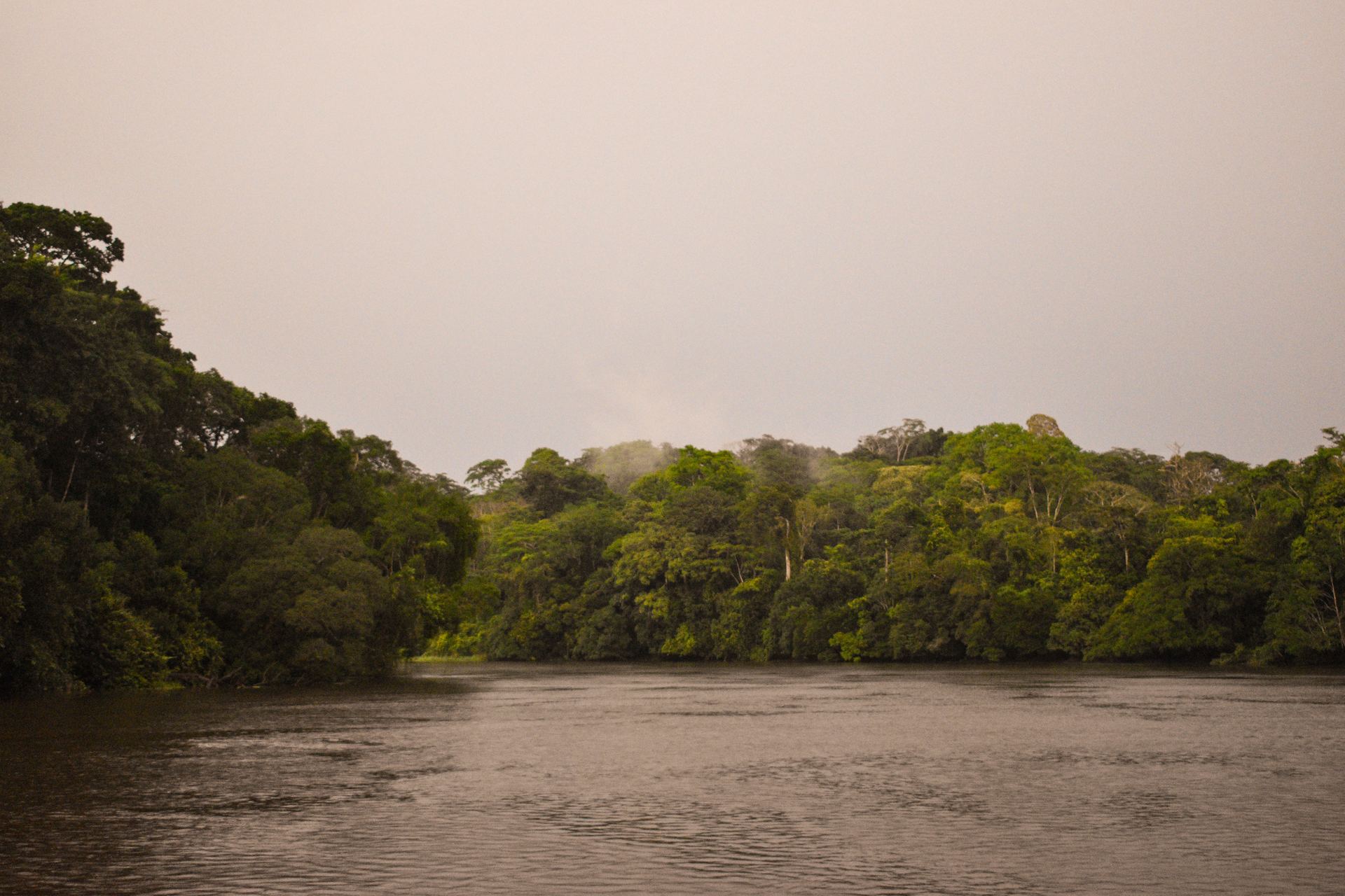 Cameroon safari landscape