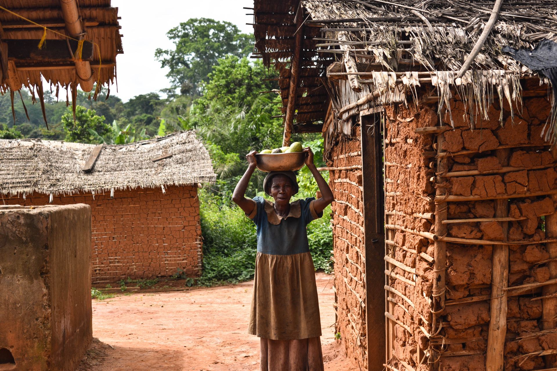 Wildlife safari in Cameroon