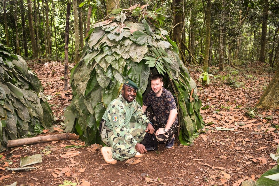 Congo rainforest canopy in Cameroon